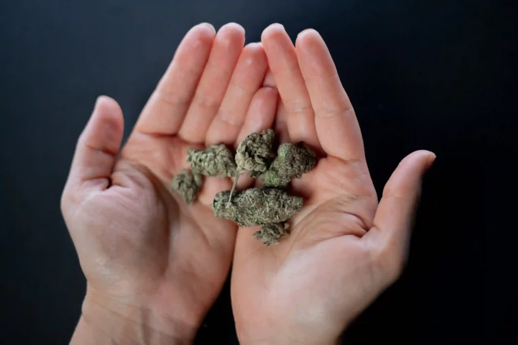 Was ist THC