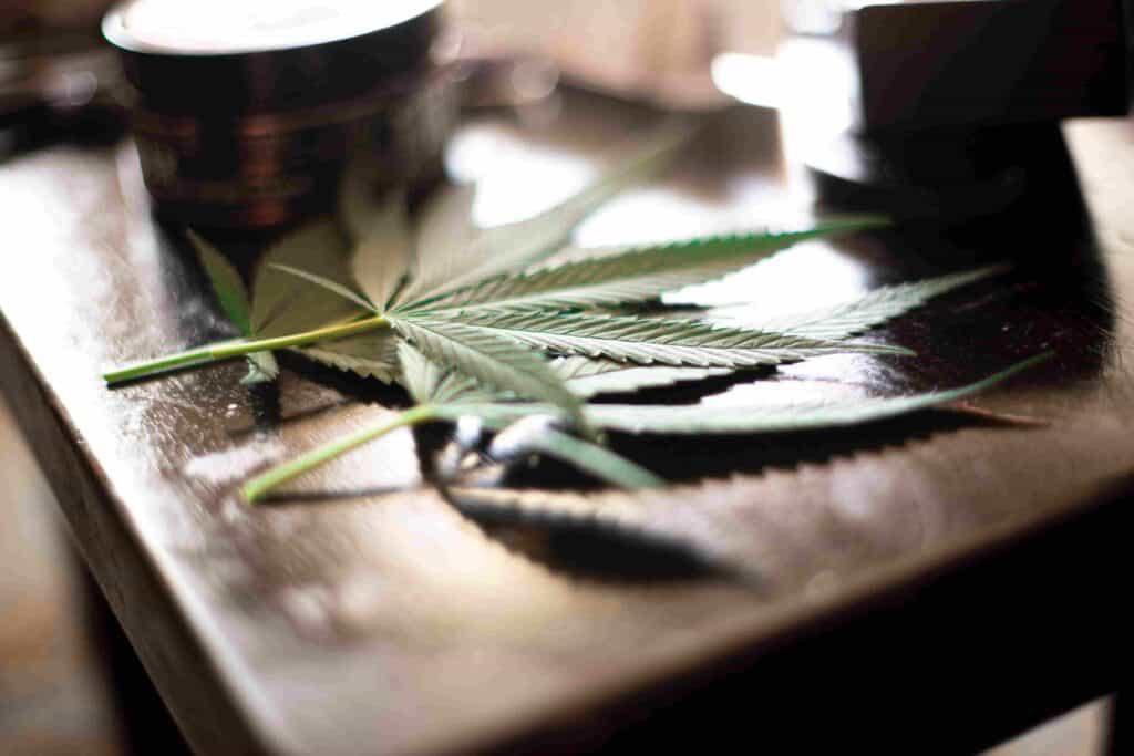 Cannabis Vaporizer